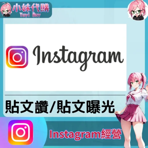 Instagram（貼文點讚 曝光成長）【虛擬服務】