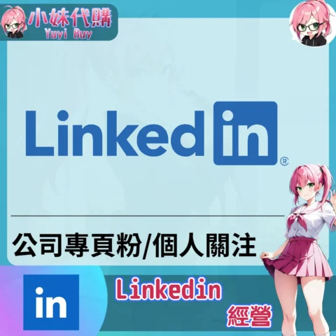 LinkedIn（公司專頁粉 個人關注）【虛擬服務】