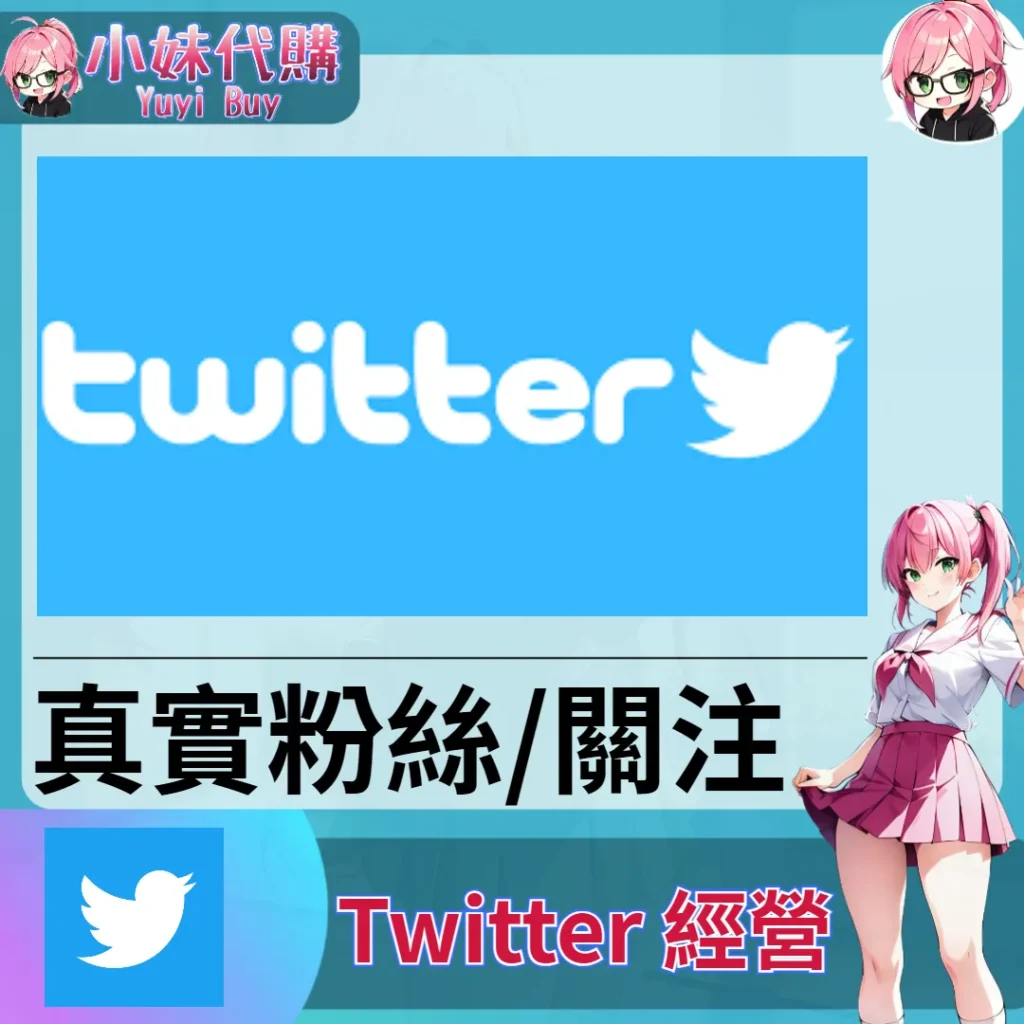 Twitter（粉絲追蹤 人氣成長）【虛擬服務】