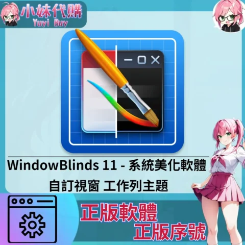 WindowBlinds 11 : 系統美化軟體 (windows 正版軟體)【序號激活碼】